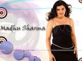 Madhu Sharma